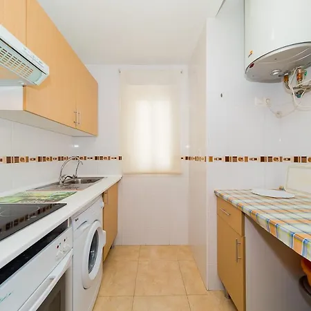 Alegria Id133 * 또레비에하