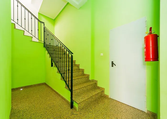 Alegria Id133 * 또레비에하