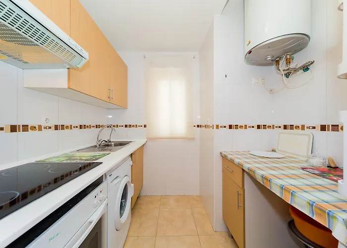 Alegria Id133 * 또레비에하