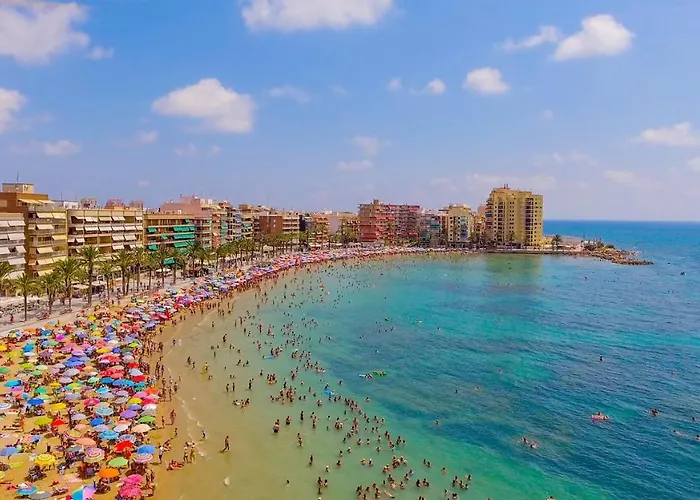 Alegria Id133 * 또레비에하