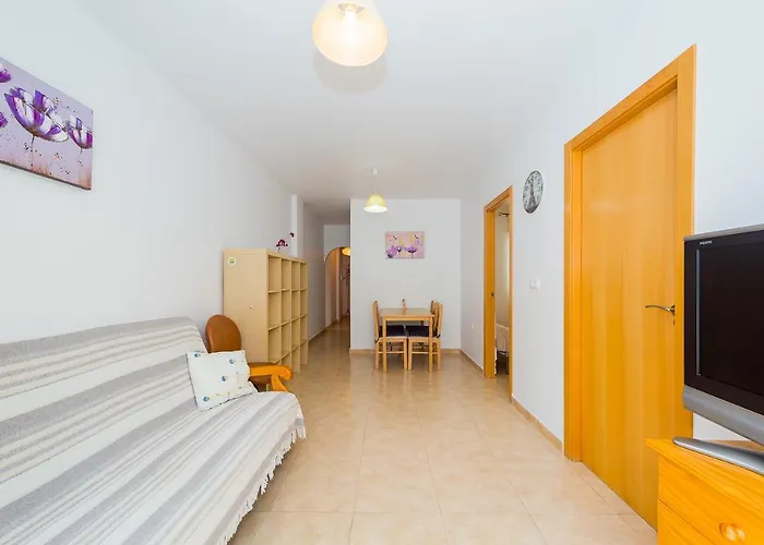 Alegria Id133 또레비에하