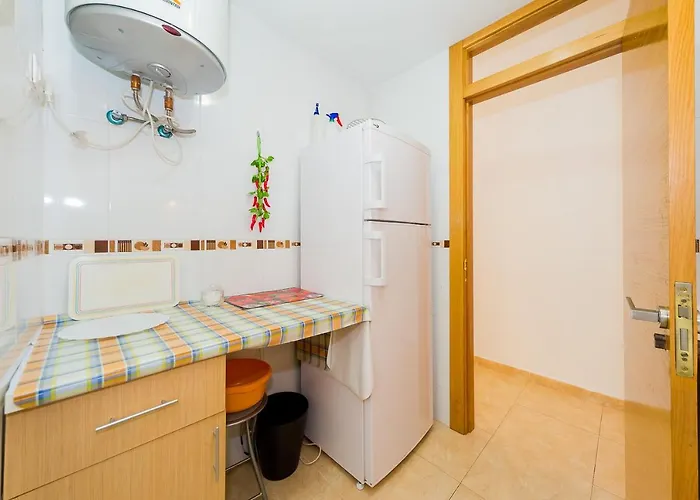 Alegria Id133 또레비에하